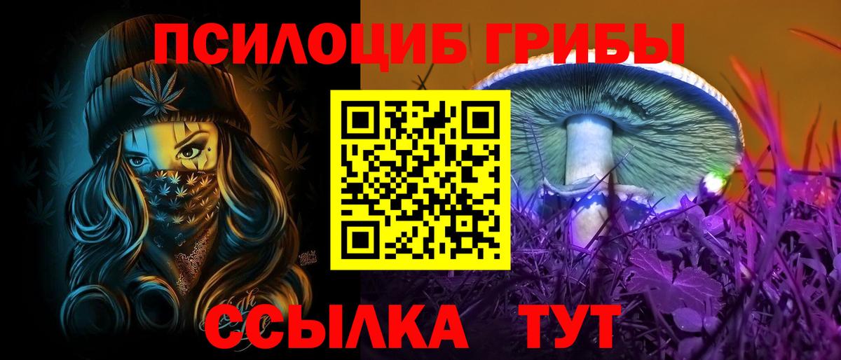Галлюциногенные грибы Psilocybe  Вход с VPN  Арсеньев 